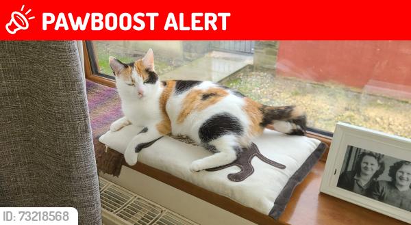 Lost Female Cat last seen Beacon Road, West Yorkshire, England 