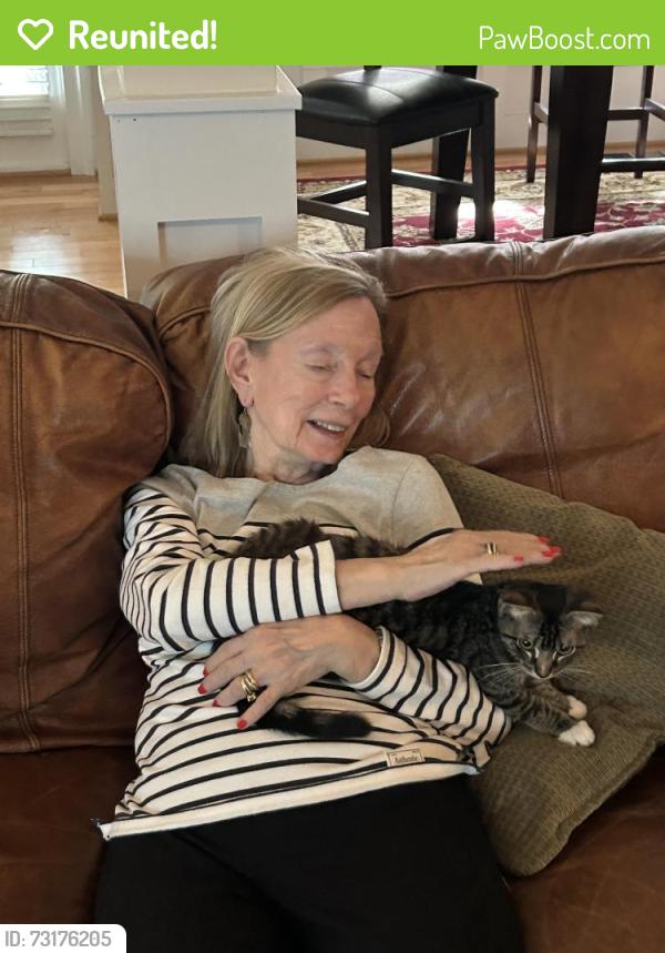 Reunited Male Cat last seen Near Monument Rd Locust Grove, VA 22508, Locust Grove, VA 22508