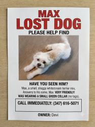 Reunited Male Dog last seen We live in a road rite off lost mountain 30127, Powder Springs, GA 30127