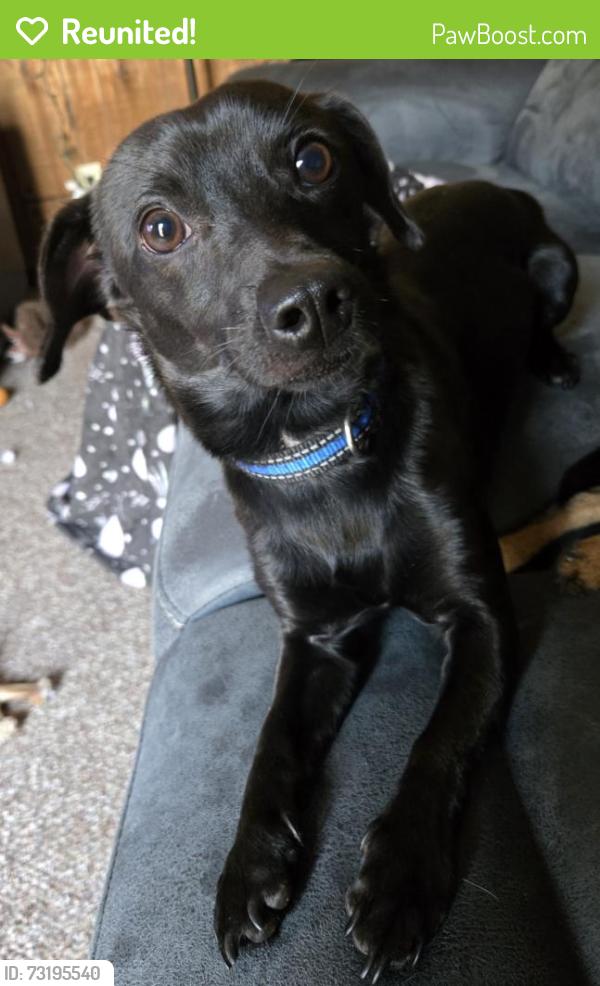 Reunited Male Dog last seen Near, Rockford, IL 61108