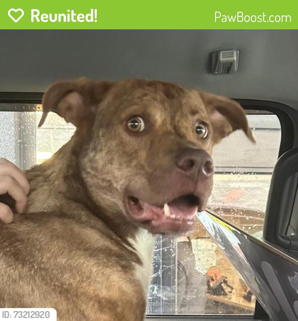 Reunited Unknown Dog last seen Gray, TN, Gray, TN 37615