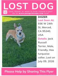 Lost Male Dog last seen Near W 24th St, Merced, CA 95340. USA, Merced, CA 95340
