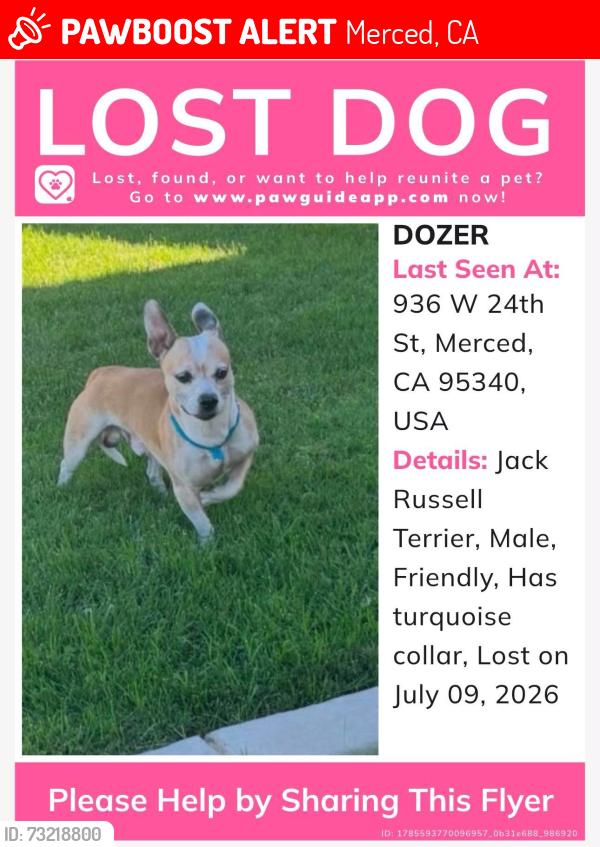 Lost Male Dog last seen Near W 24th St, Merced, CA 95340. USA, Merced, CA 95340