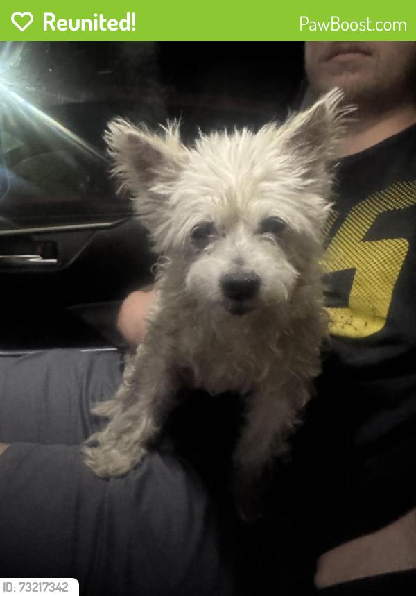 Reunited Male Dog last seen Pixieland, Concord, CA 94519