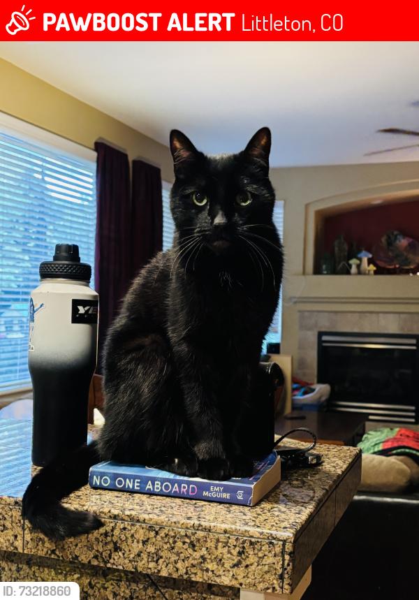 Lost Male Cat last seen Chatfield Farms West Roxborough (Wildhorse & Dressage), Littleton, CO 80125