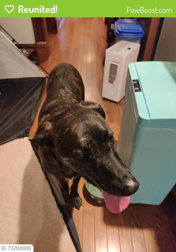 Reunited Male Dog last seen Ashby and Lackland, Overland, MO 63114