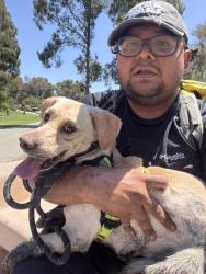 Reunited Male Dog last seen Gothard and Talbert, Huntington Beach, CA 92647