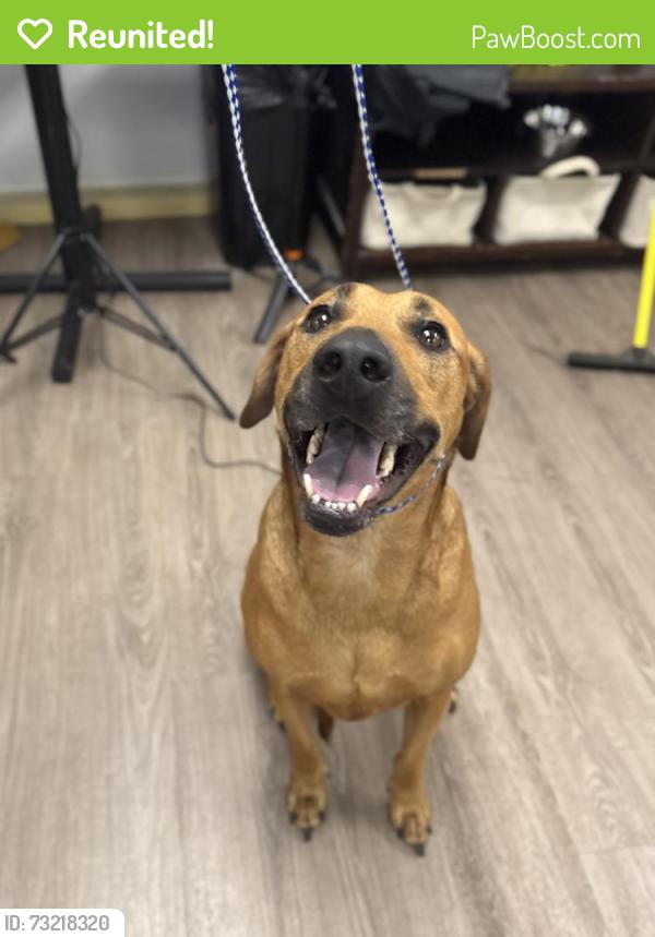 Reunited Male Dog last seen Near Ruff hse Resort, Lynn Haven, FL 32444