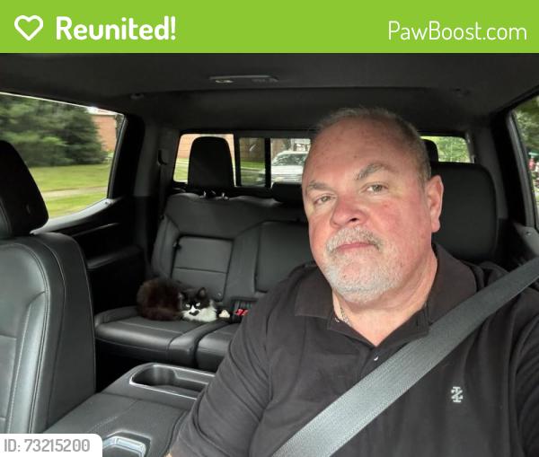 Reunited Female Cat last seen Near Graceland Dr, Forest City, NC 28043