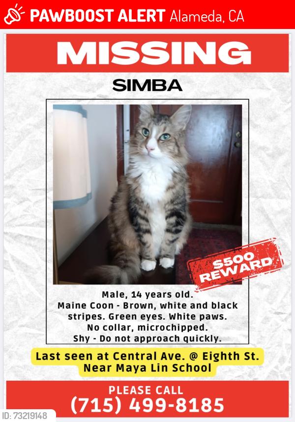 Lost Male Cat last seen Central Ave. @ Eighth St., Alameda, CA 94501