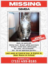 Lost Male Cat last seen Central Ave. @ Eighth St., Alameda, CA 94501