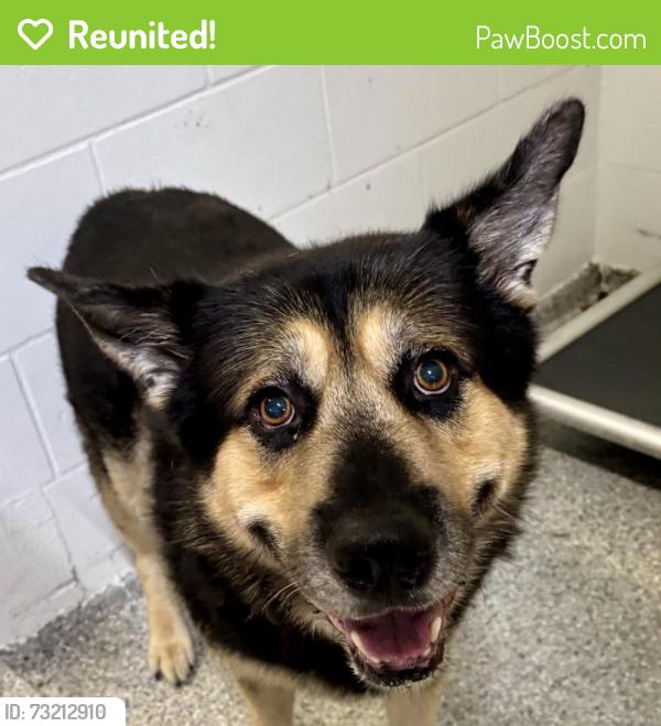 Reunited Male Dog last seen Port St Lucie, Port St. Lucie, FL 34986