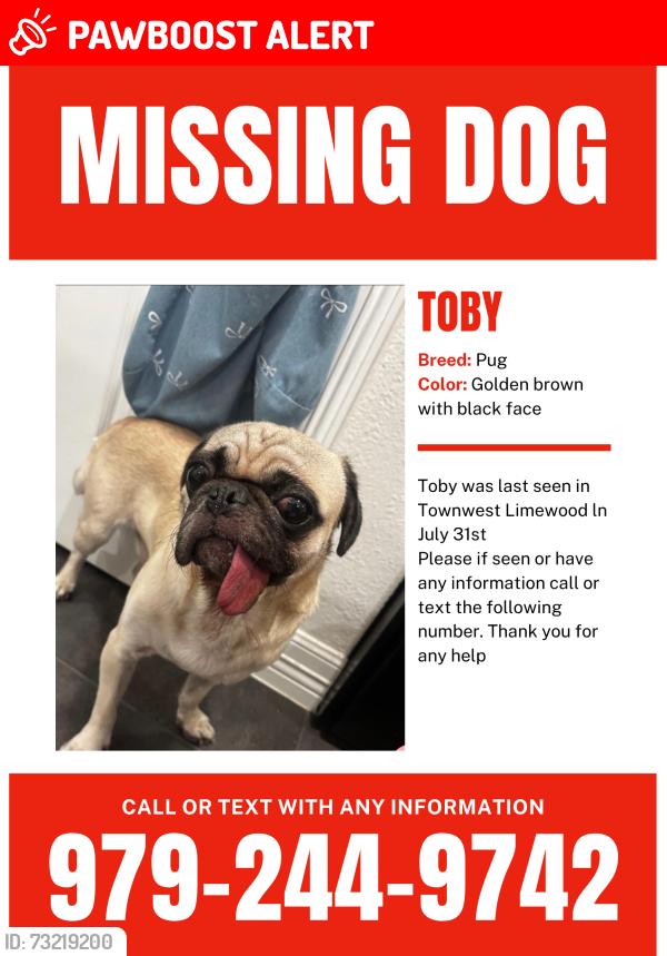 Lost Male Dog last seen Townewest, Fort Bend County, TX 77498
