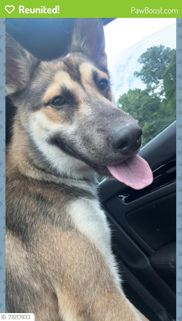 Reunited Male Dog last seen Smithfield Chicken Gum Branch, Jacksonville, NC 28540