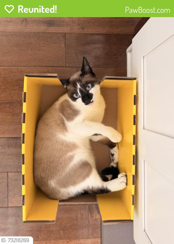 Reunited Male Cat last seen Frame St, Irvine, CA 92618
