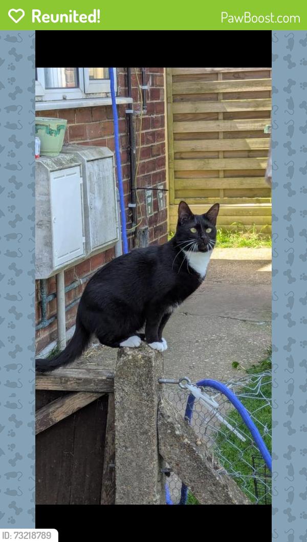 Reunited Female Cat last seen St bernards avenue, Lincolnshire, England LN11 8BA