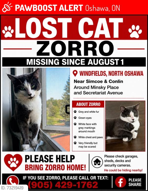 Lost Male Cat last seen Minsky place and secretariat avenue, Oshawa, ON 