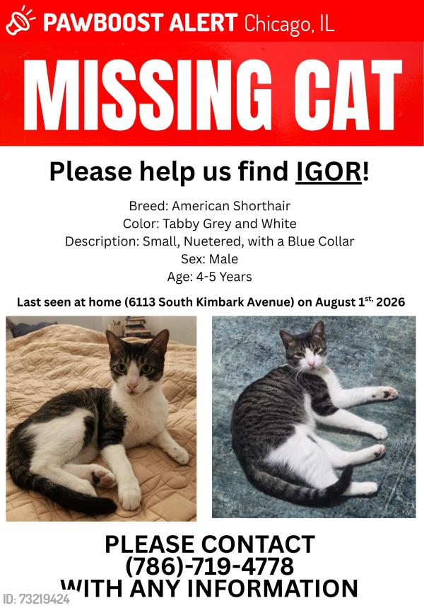 Lost Male Cat last seen 61st Street and Woodlawn Avenue Behind the Parking Garage, Chicago, IL 60637
