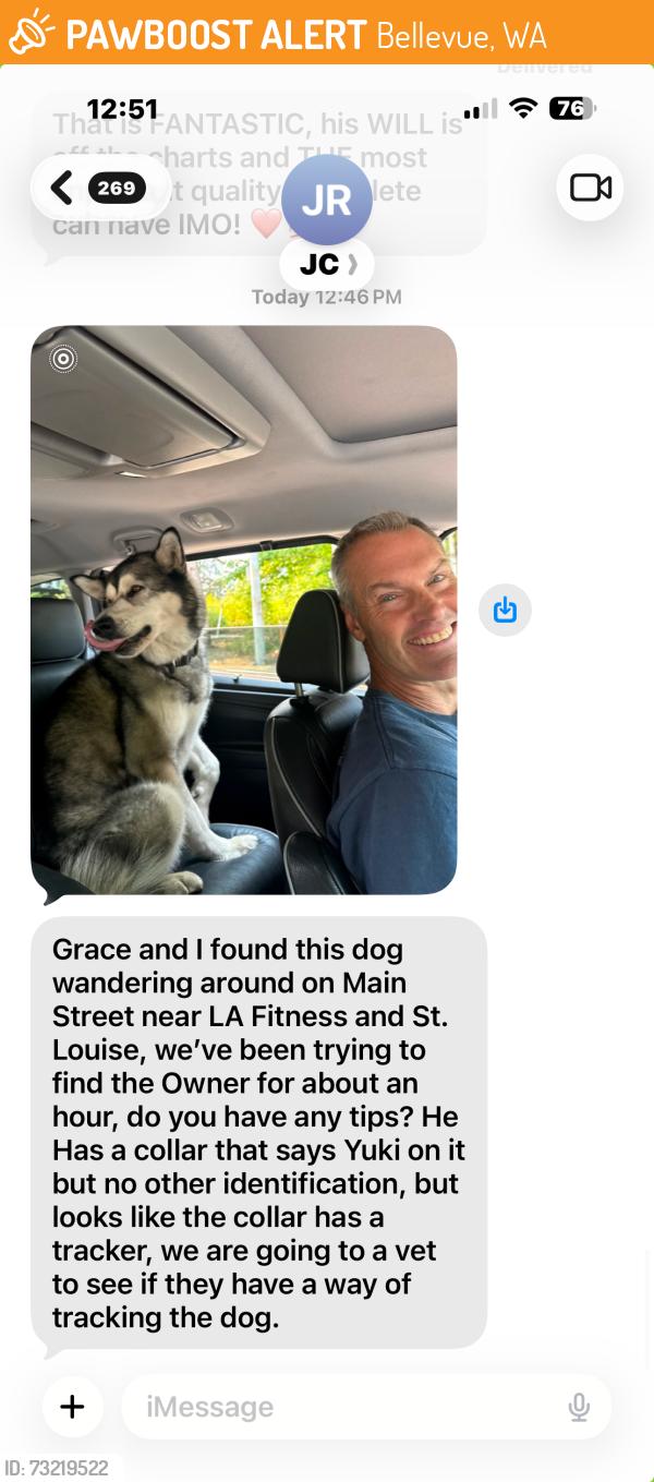 Found/Stray Unknown Dog last seen Main st, Bellevue, WA 98005
