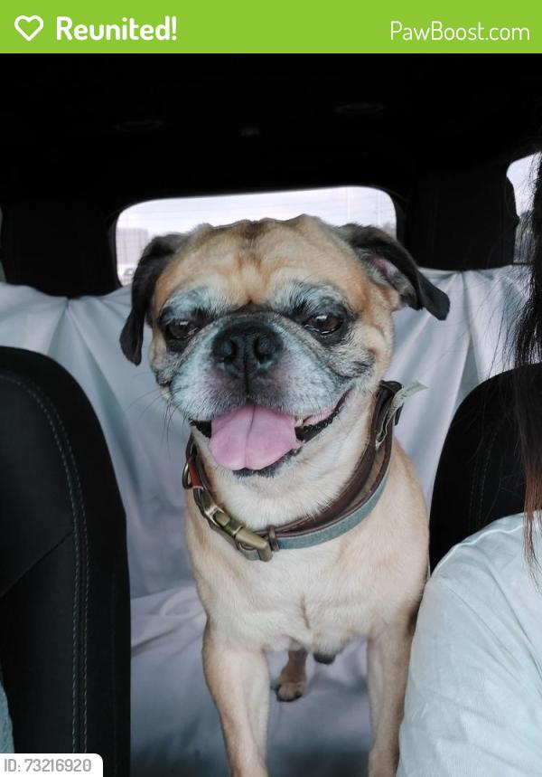 Reunited Male Dog last seen Sunbend falls and sungate bay, San Antonio, TX 78224