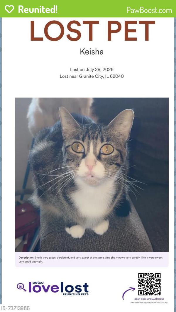 Reunited Female Cat last seen Near Briarhaven dr apt 205, Granite City, IL 62040
