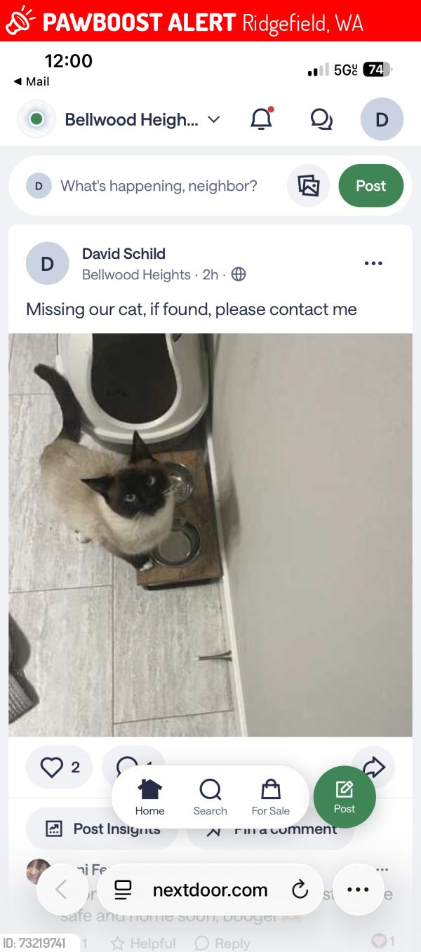 Lost Female Cat last seen End of sevier circle, Ridgefield, WA 98642