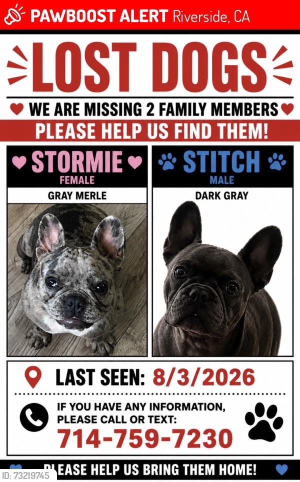 Lost Female Dog last seen Near Adam’s don deer park, Riverside, CA 92504