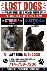 Lost Female Dog last seen Near Adam’s don deer park, Riverside, CA 92504