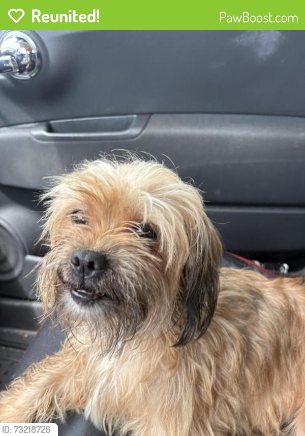 Reunited Female Dog last seen Gas station, Lake Worth Beach, FL 33460