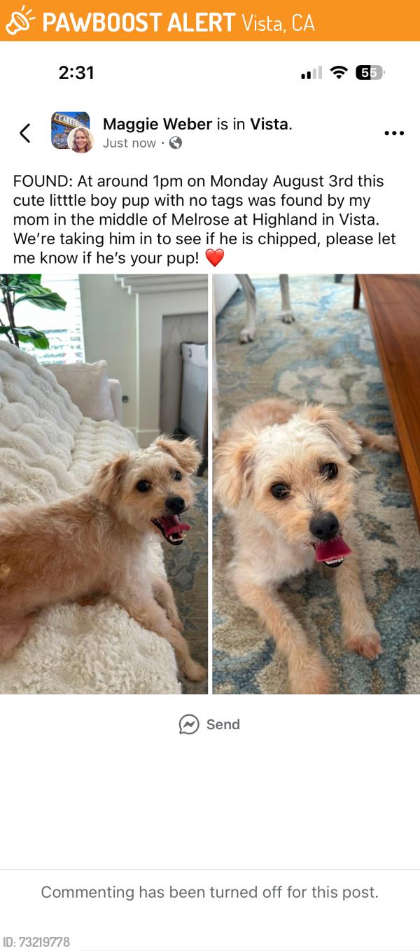 Found/Stray Male Dog last seen Highland and Melrose, Vista, CA 92083