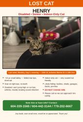 Lost Male Cat last seen 14ave, Surrey, BC V4A 9A5