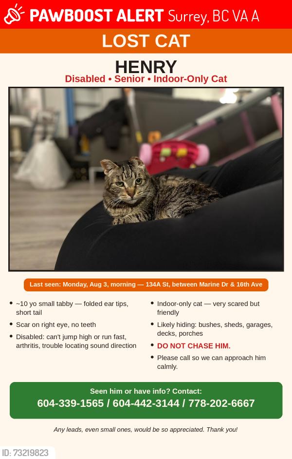 Lost Male Cat last seen 14ave, Surrey, BC V4A 9A5