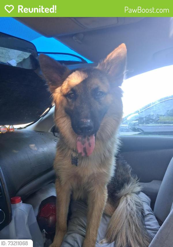 Reunited Male Dog last seen Academy blvd, Fort Worth, TX 76108