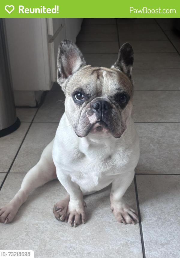 Reunited Male Dog last seen Near concord drive, Oxnard, CA 93033