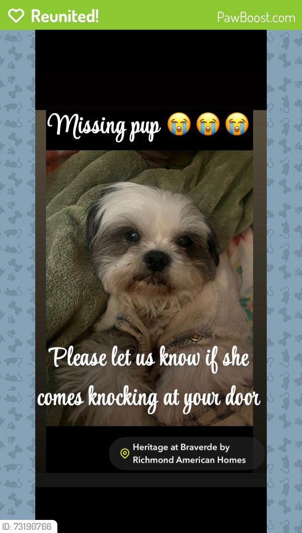 Reunited Female Dog last seen Freeman Dr, Menifee, CA 92584