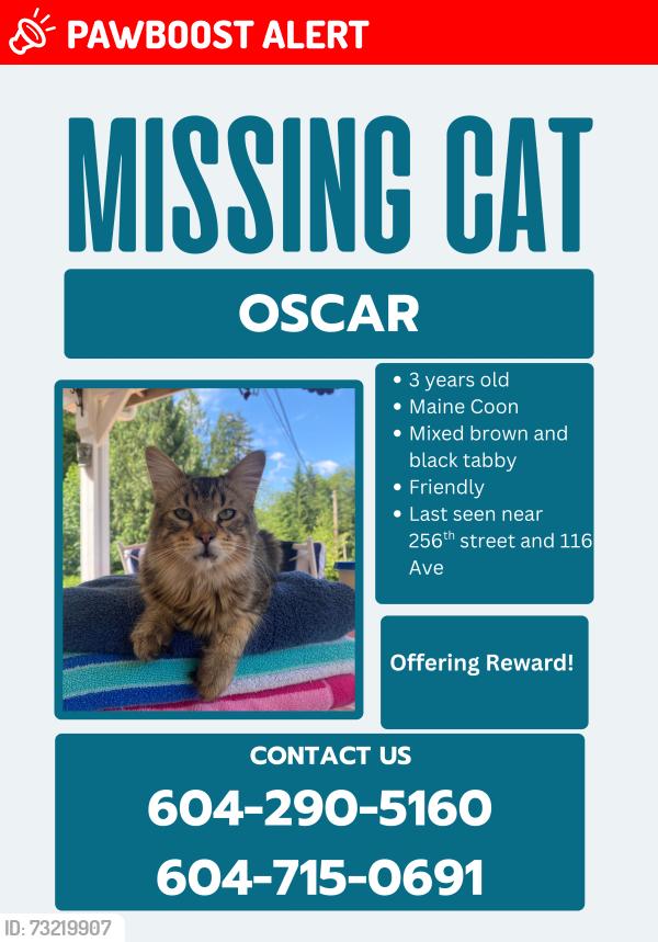 Lost Male Cat last seen Near cliff park and kanaka creek park, Maple Ridge, BC V4R 1Z6