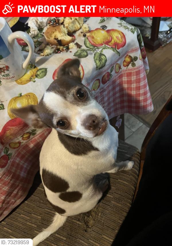 Lost Male Dog last seen Near 14th Ave S & E Lake St, Minneapolis, MN, Minneapolis, MN 55407