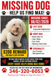 Lost Male Dog last seen Cypressdale, Spring, TX 77388