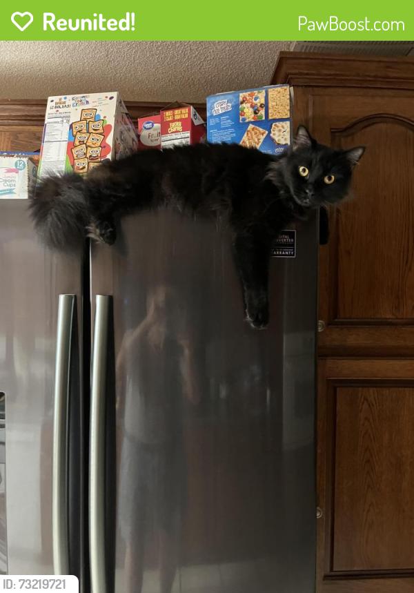 Reunited Male Cat last seen Last seen near Anjul Drive in Mableton, just off of Floyd Road. Firefighters let him out when my brother was being taken to the hosp., Mableton, GA 30126