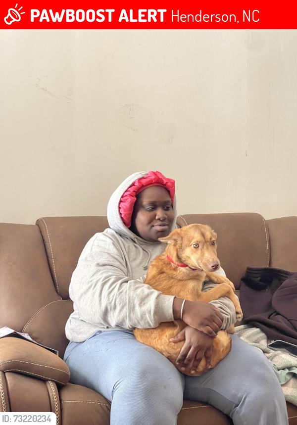 Lost Female Dog last seen Pinkston Street, Water Street, Henderson, NC 27536