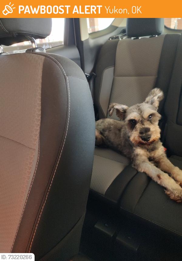Found/Stray Male Dog last seen Oncue express, Yukon, OK 73099