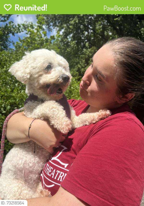 Reunited Female Dog last seen Between Rodney and Windrowe in west meade, Nashville, TN 37205