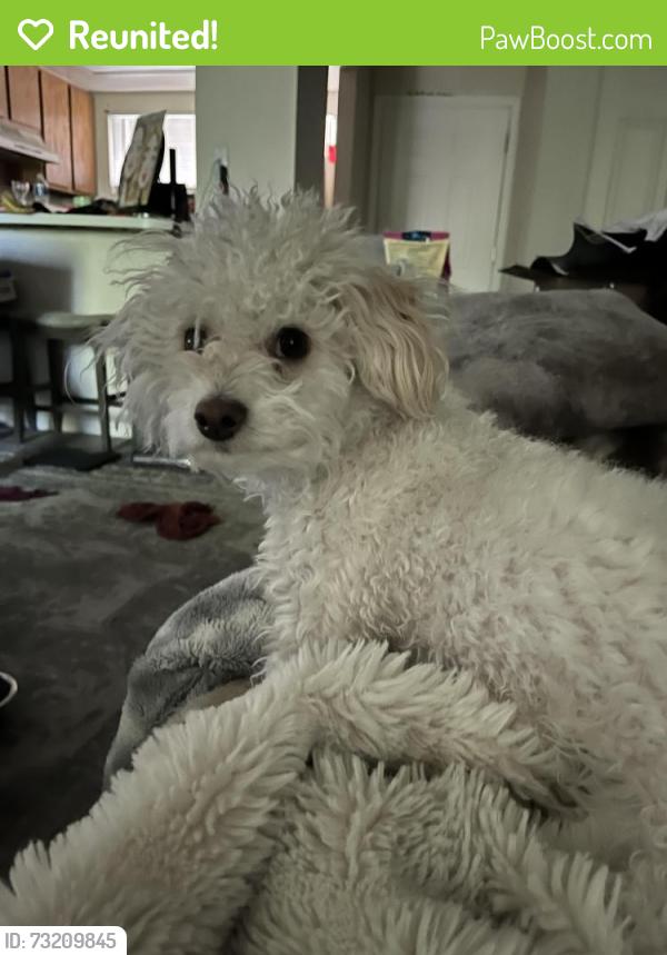 Reunited Female Dog last seen Between 900 and 1020 east, Midvale, UT 84047