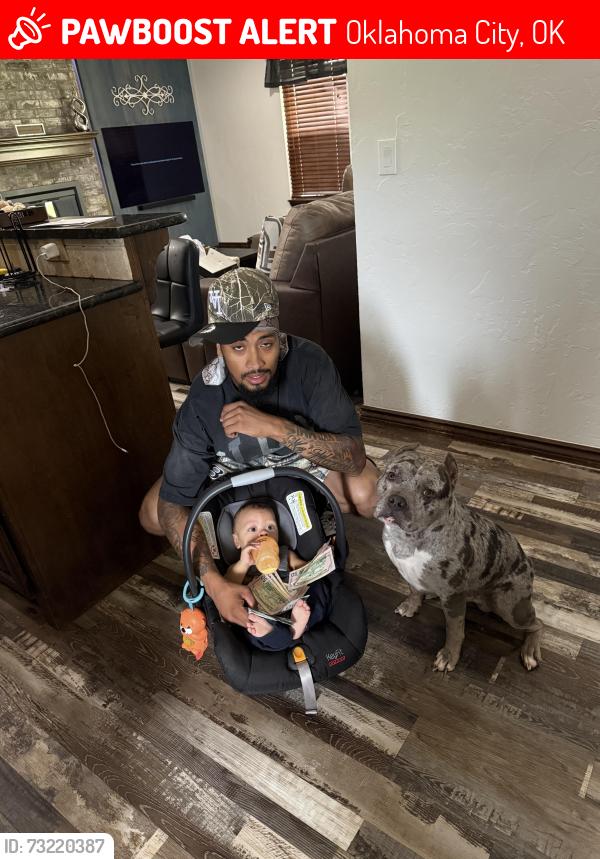 Lost Male Dog last seen May ave, Oklahoma City, OK 73170