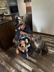 Lost Male Dog last seen May ave, Oklahoma City, OK 73170