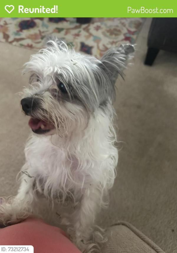 Reunited Unknown Dog last seen Near Guinness dr Mcleansville nc 27301, McLeansville, NC 27301