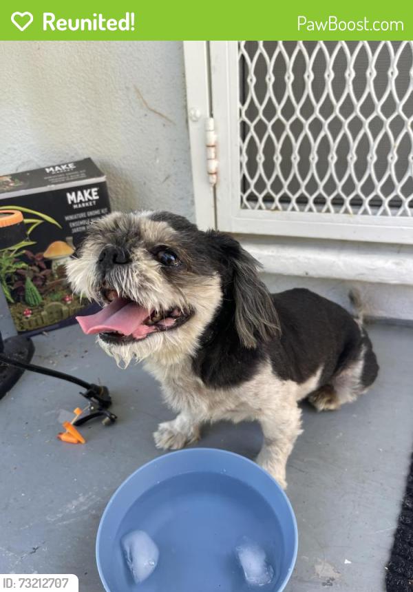 Reunited Male Dog last seen Vanowen/Aldea, Los Angeles, CA 91406
