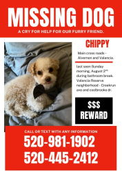 Lost Male Dog last seen CREEK RUN AVE,, Tucson, AZ 85756