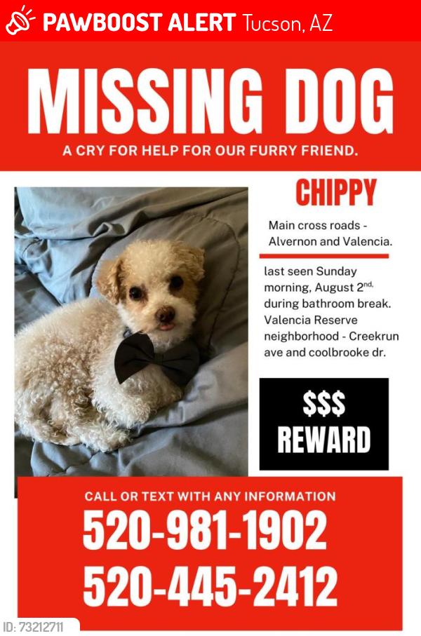 Lost Male Dog last seen CREEK RUN AVE,, Tucson, AZ 85756