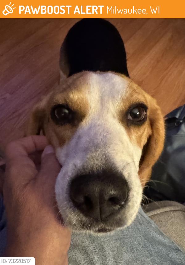 Found/Stray Male Dog last seen 91st & Appleton Ave, Milwaukee, WI 53225